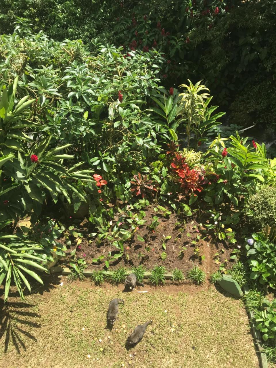 Hospedaje Angeluz Quesada  المظهر الخارجي الصورة